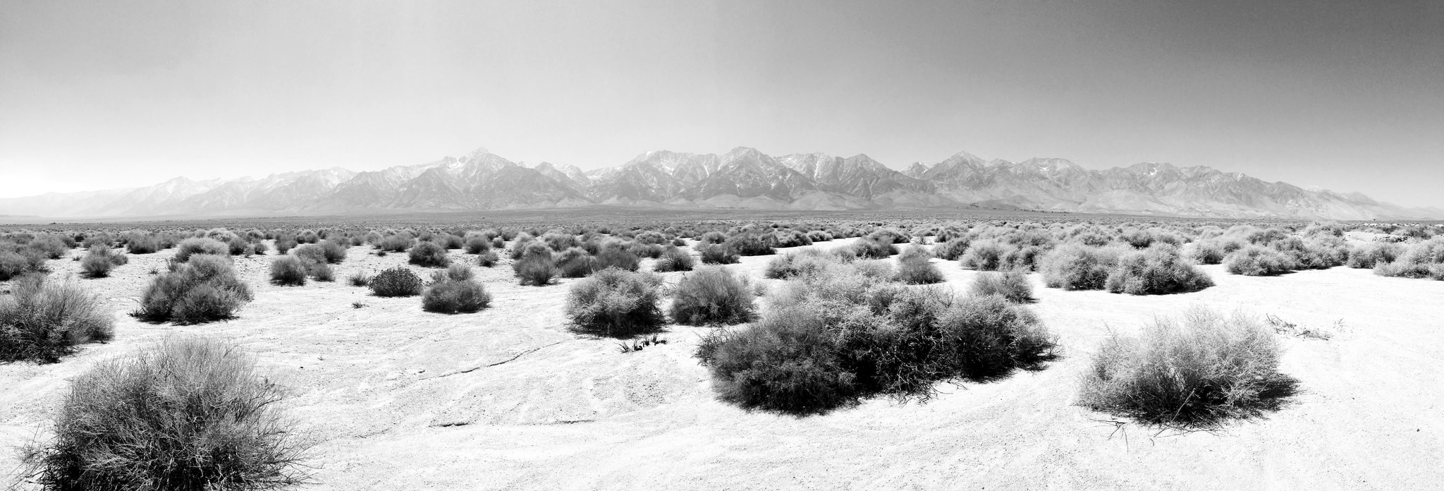 35749600053_2063b539d4_k