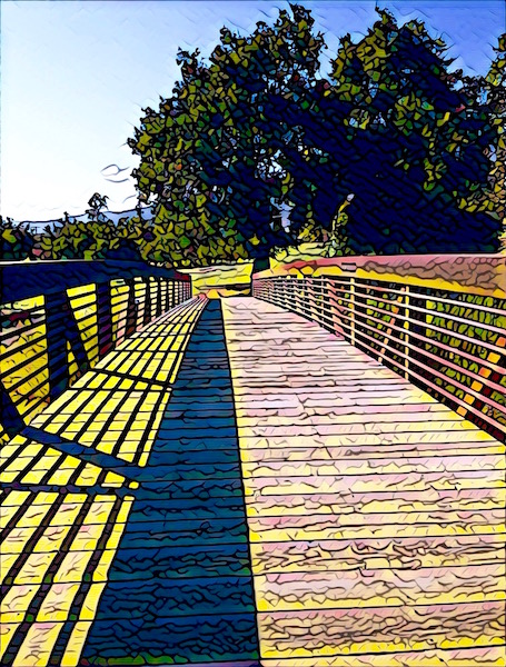 36298723863_2995743595_o (1)