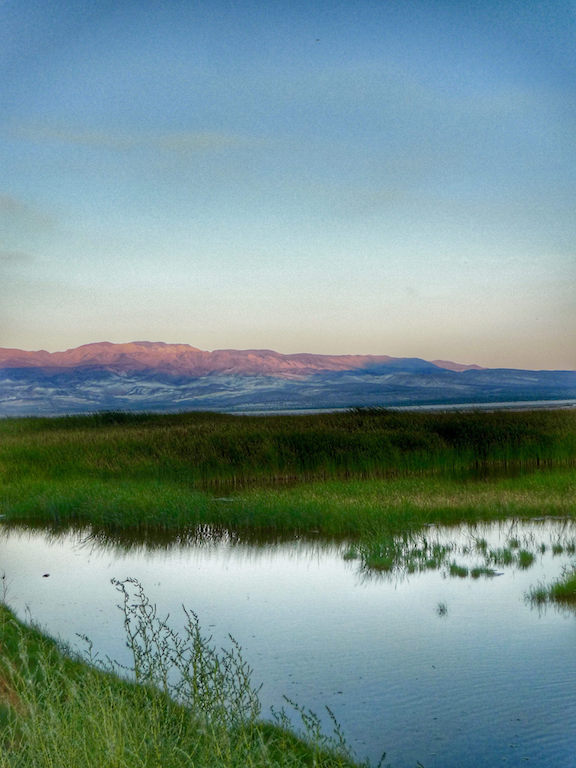 36457042896_eb18cbebe1_k