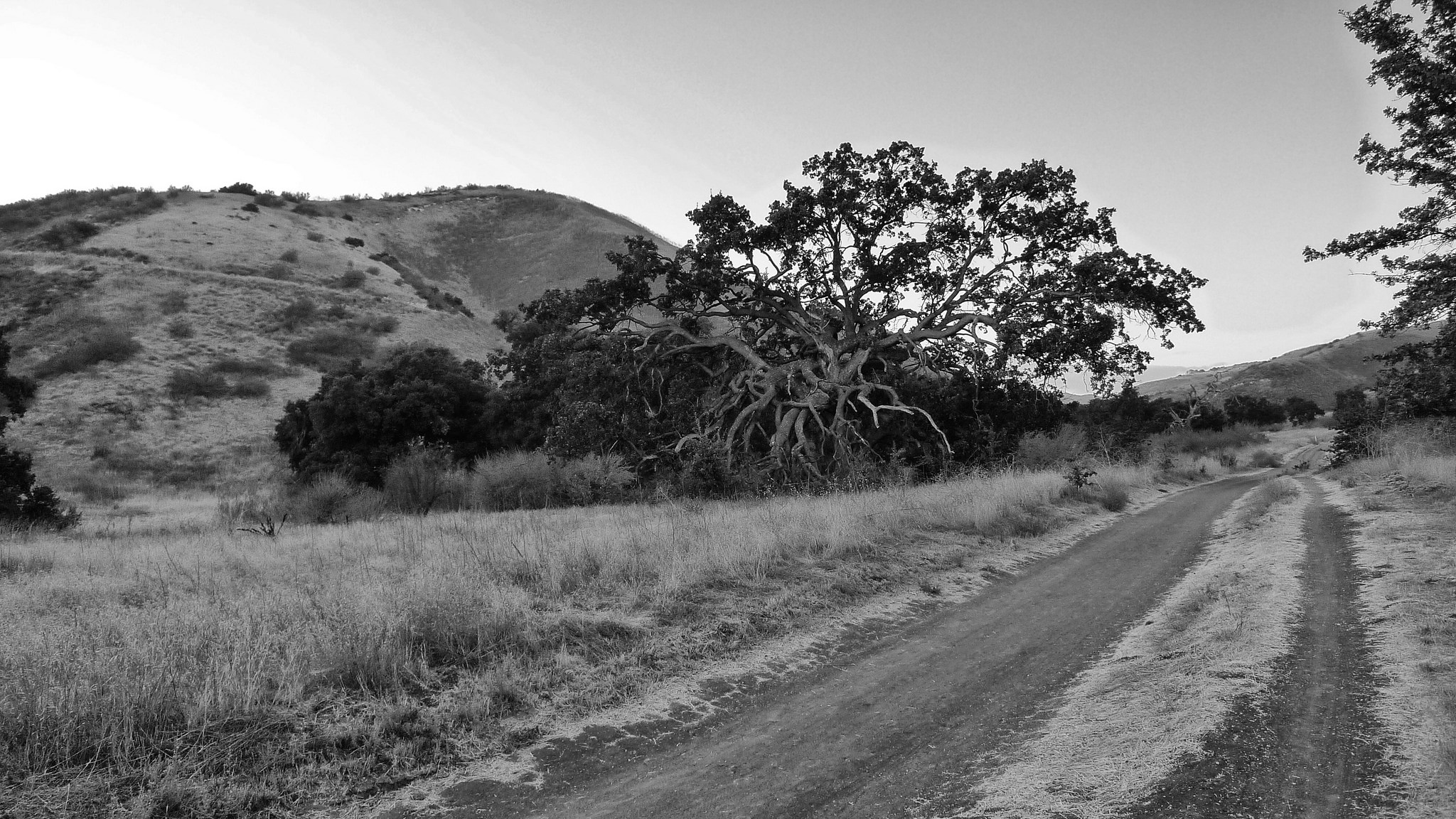 36580067353_ff11c9ae2c_k