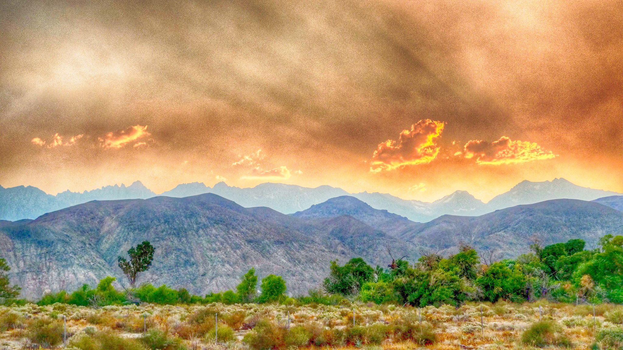 36776053366_c8253c6b60_k