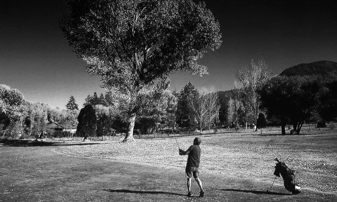 Pitch shot pine mountain club BW