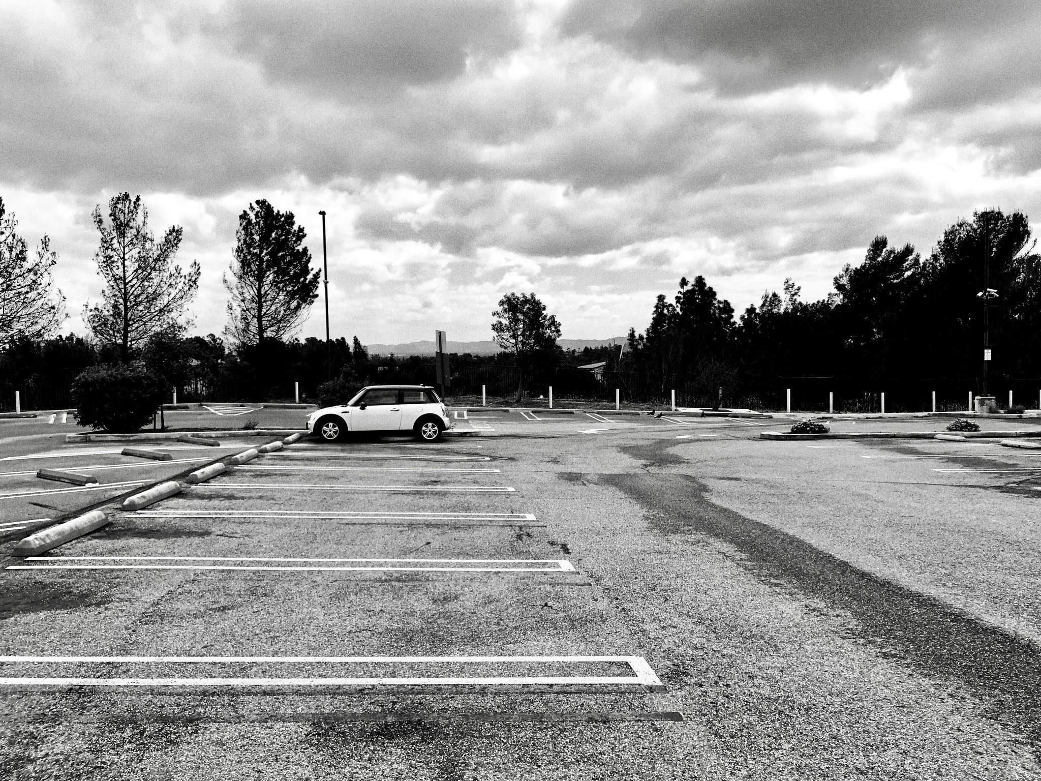 Social Isolation
