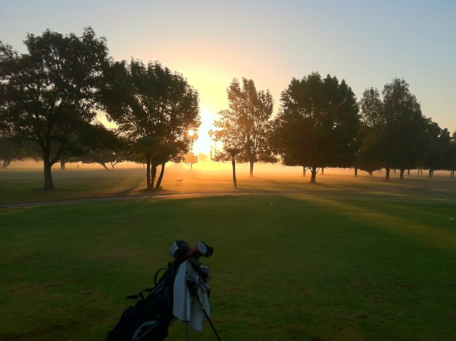 14288422848_73054df87d_k