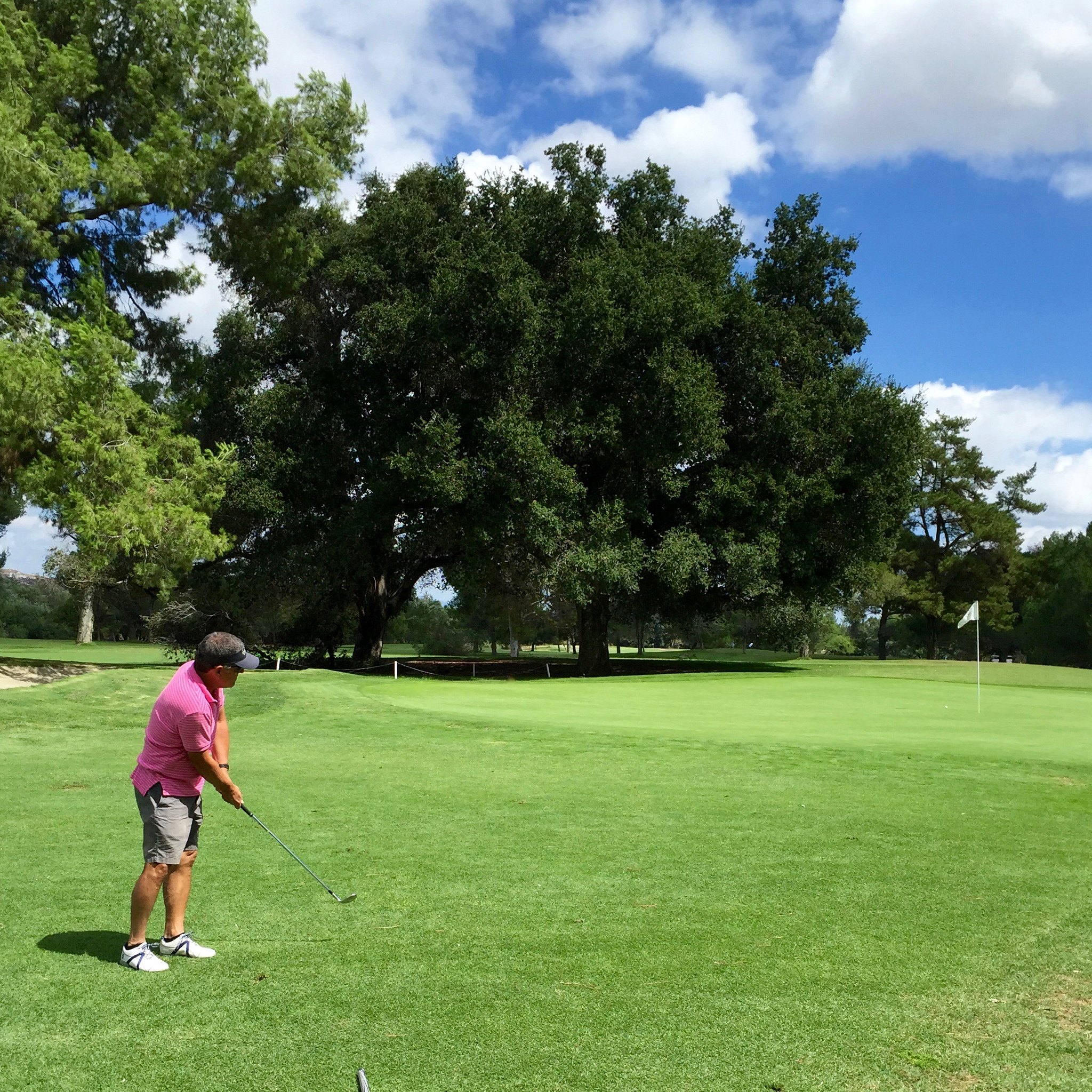 20860646163_75cb444d14_k