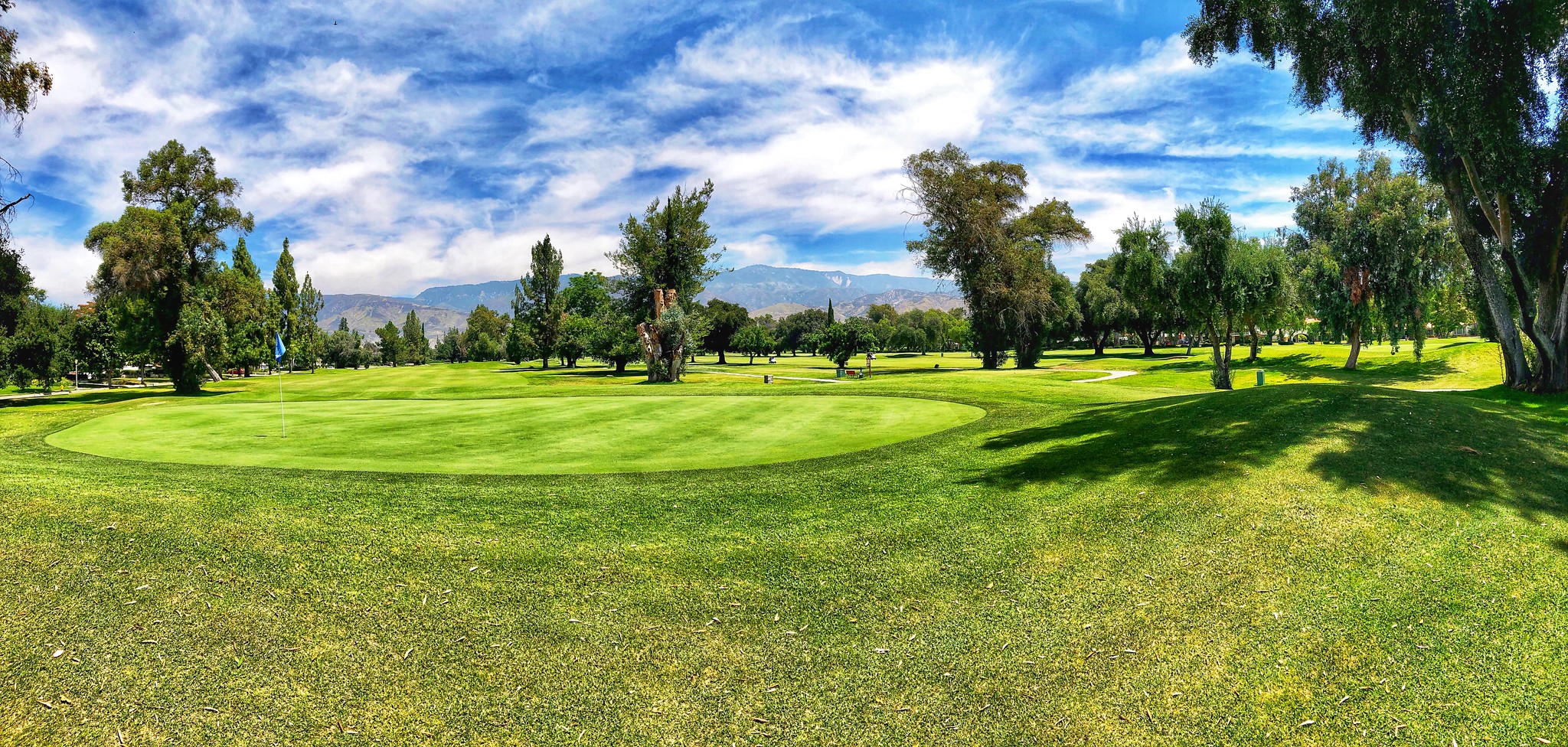 48202725442_6571803f74_k